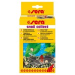 SERA snail collect	